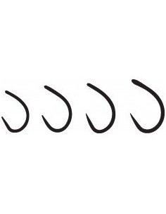 Hamecon Owner Tsuyoshi Bc N°6