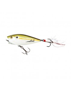 Leurre de Surface Heddon...